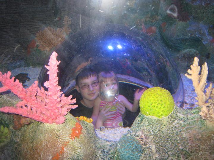 Aquarium 13.JPG